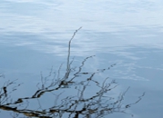 Reflection XV